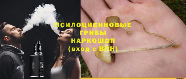мдпв Михайловск