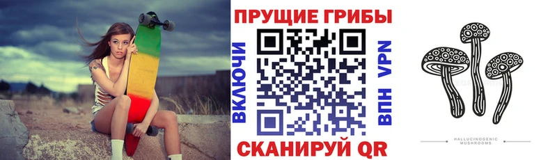 Галлюциногенные грибы Cubensis  где найти   blacksprut онион  Курильск 